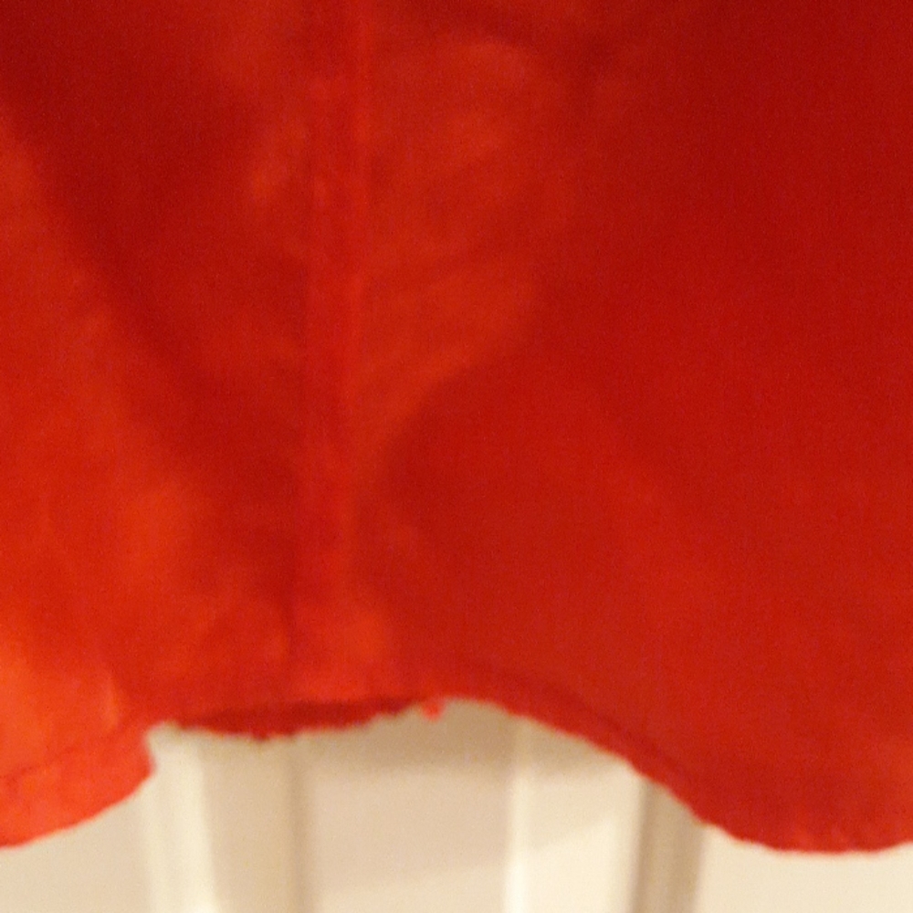 Cat & Jack Skirt - Picture 3 of 4